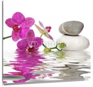 Lienzo Orquideas piedras y agua
